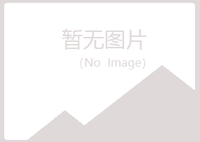 河池盼夏采矿有限公司